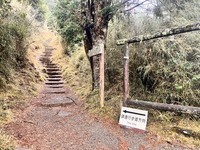 045.大霸尖山(下)-雲霧深處的世紀奇峰圖片